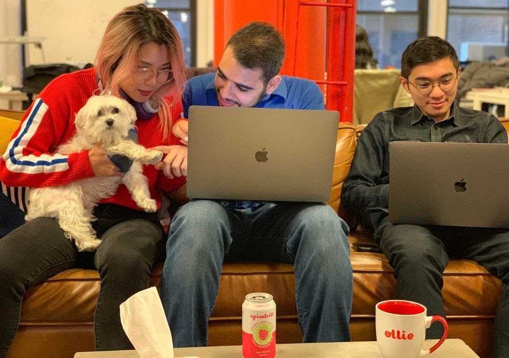 The Ollie marketing team working together in their New York office
